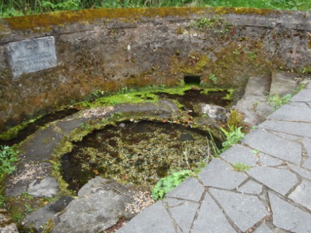 Brigid Well Kildare